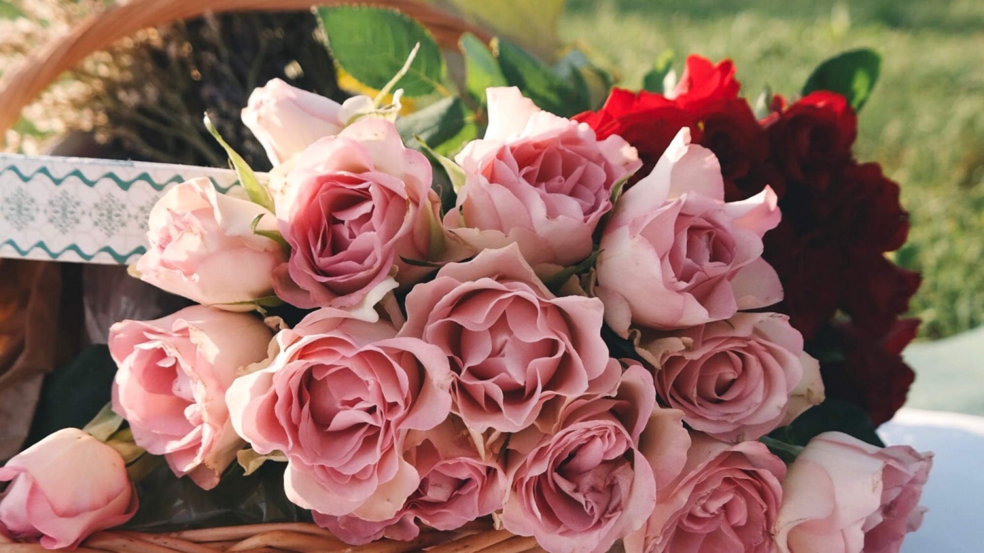 brigitte-tohm-buUFEtmNnjc-unsplash