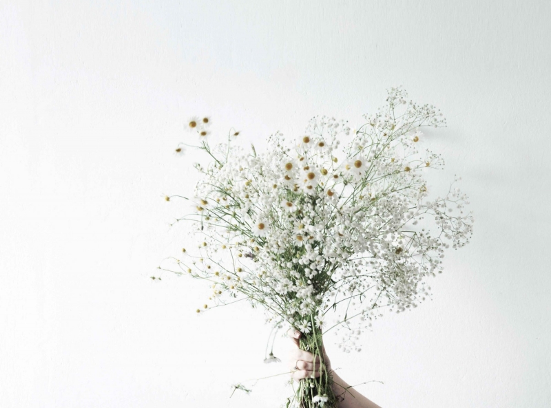 sylvie-tittel-TDgoC_gYgF8-unsplash